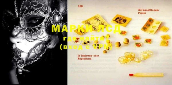 стаф Михайловск